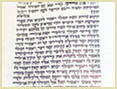קלף מגילת אסתר \מגילות כשרה לפורים, כתב אשכנזי (בית יוסף), עבודת יד  לחץ לצפיה בהגדלה