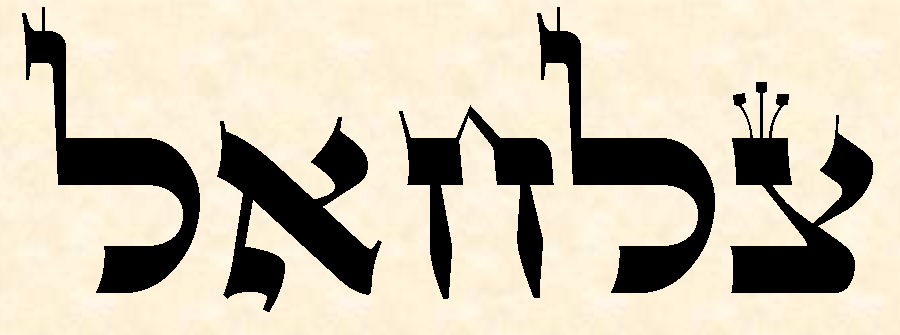 סגולה ליום ט אדר בשם הרב כדורי זצ.ל, לכתוב שם קודש צלחאל ולצפות לישועות